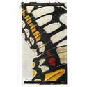 Monarch Fragment Patch