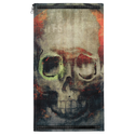 Painted Skull Patch
