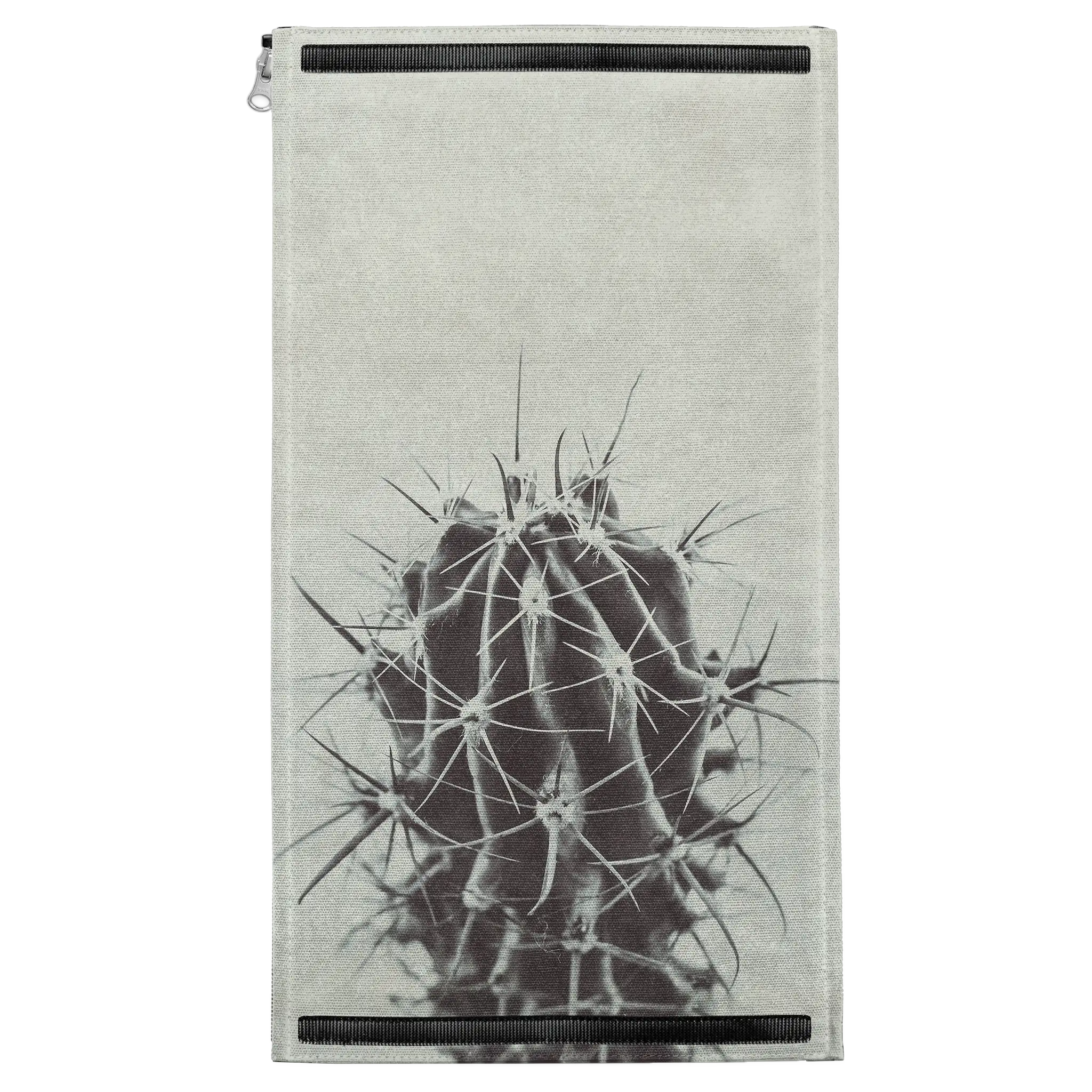 Retro Cactus Patch