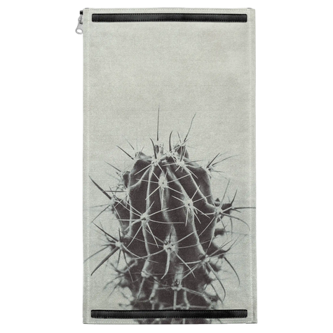 Retro Cactus Patch
