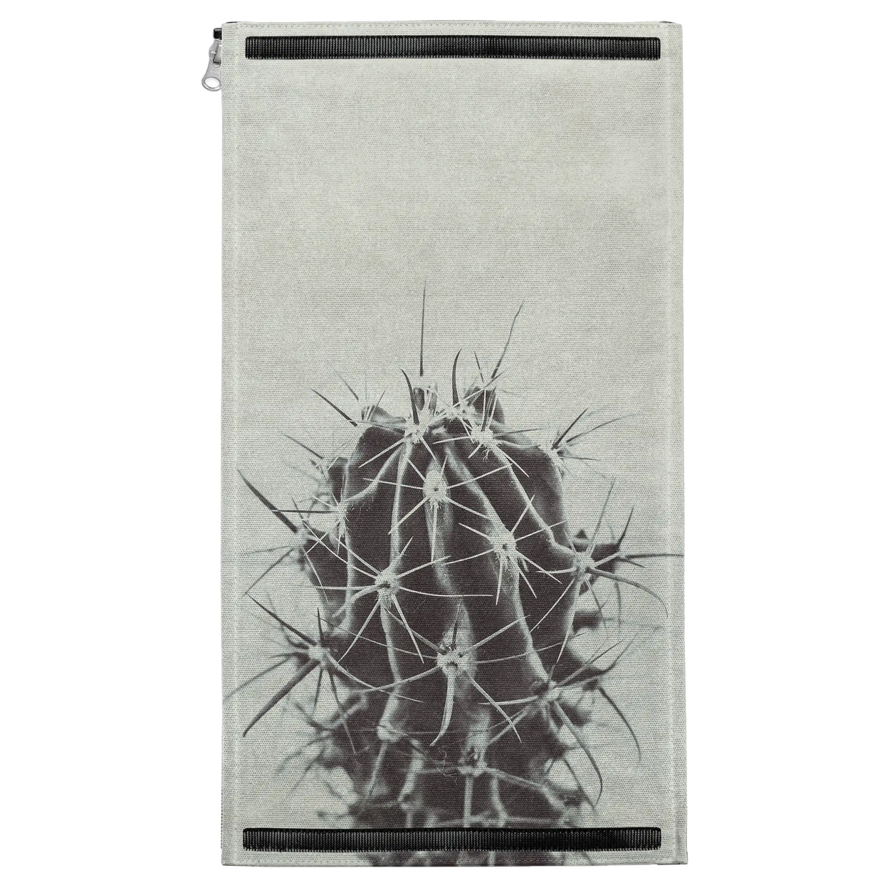 Retro Cactus Patch
