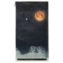 Venus and Moon Patch